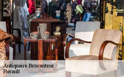 Antiquaire Brocanteur Hérault 