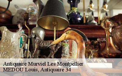 Antiquaire  34570