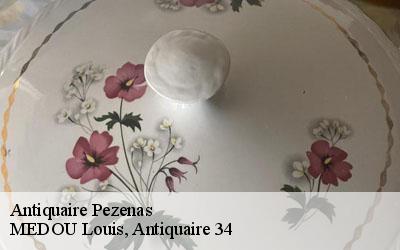 Antiquaire  34120