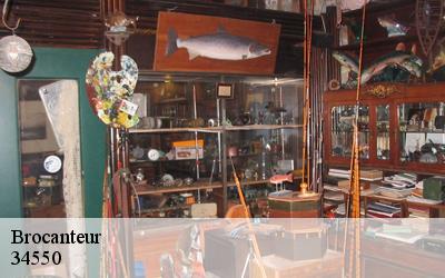 Brocanteur  34550