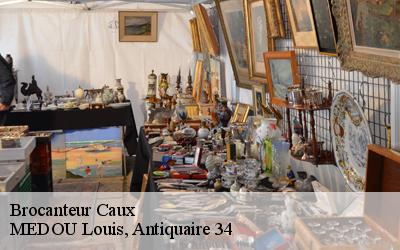 Brocanteur  34720