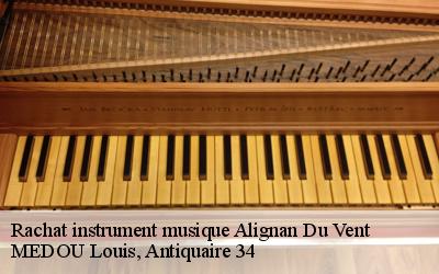 Rachat instrument musique  34290