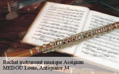 Rachat instrument musique  34360