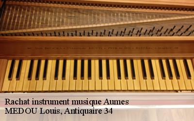 Rachat instrument musique  34530