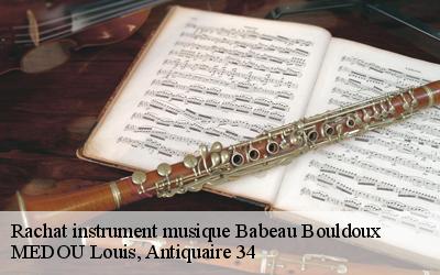 Rachat instrument musique  34360