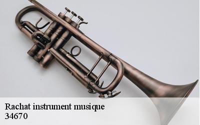 Rachat instrument musique  34670