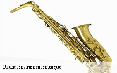 Rachat instrument musique  34540