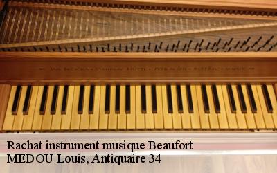 Rachat instrument musique  34210