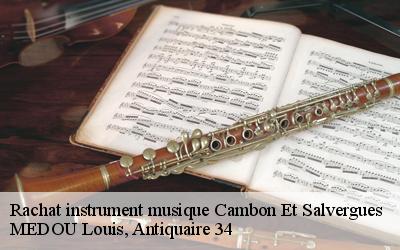 Rachat instrument musique  34330