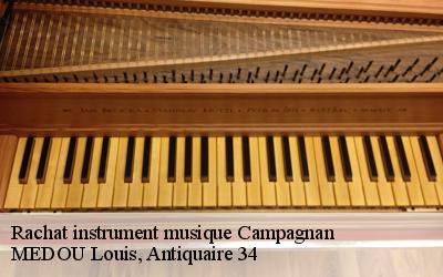 Rachat instrument musique  34230