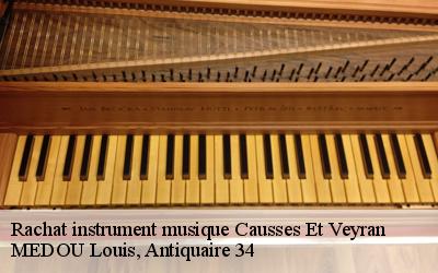 Rachat instrument musique  34490