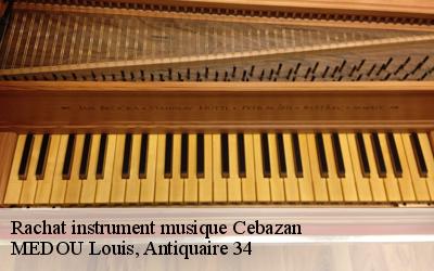 Rachat instrument musique  34360