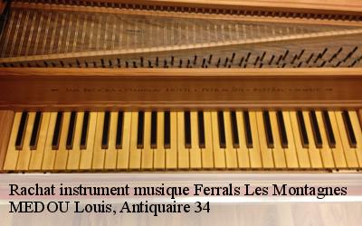 Rachat instrument musique  34210