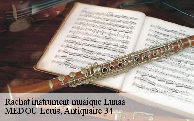 Rachat instrument musique  34650