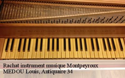 Rachat instrument musique  34150