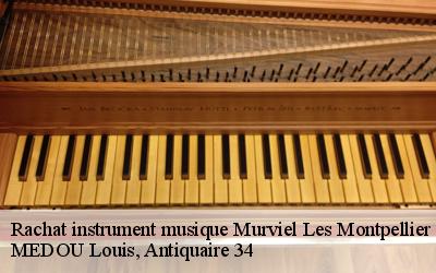 Rachat instrument musique  34570