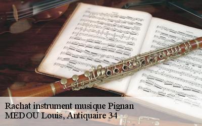 Rachat instrument musique  34570