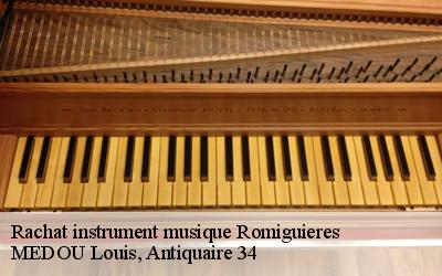 Rachat instrument musique  34650