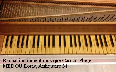 Rachat instrument musique  34280
