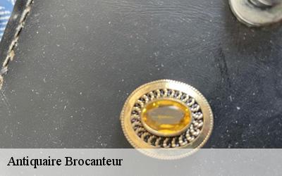 Antiquaire Brocanteur  34550