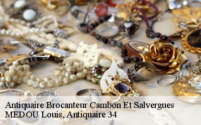 Antiquaire Brocanteur  34330